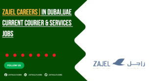 Zajel Careers